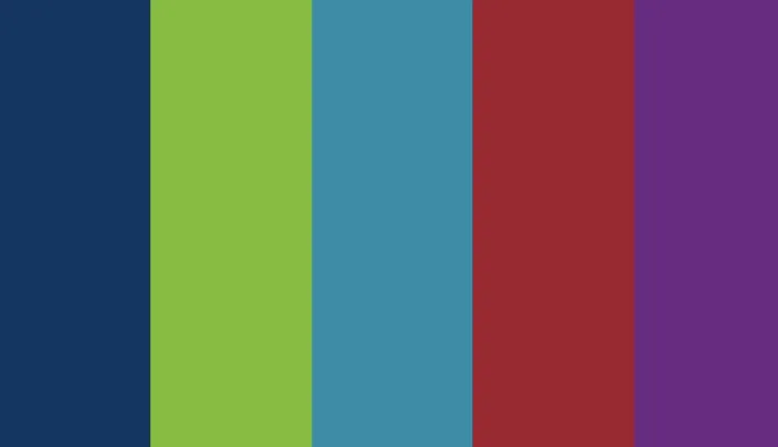 Five vertical color bands: navy, lime green, teal blue, deep red, and purple.